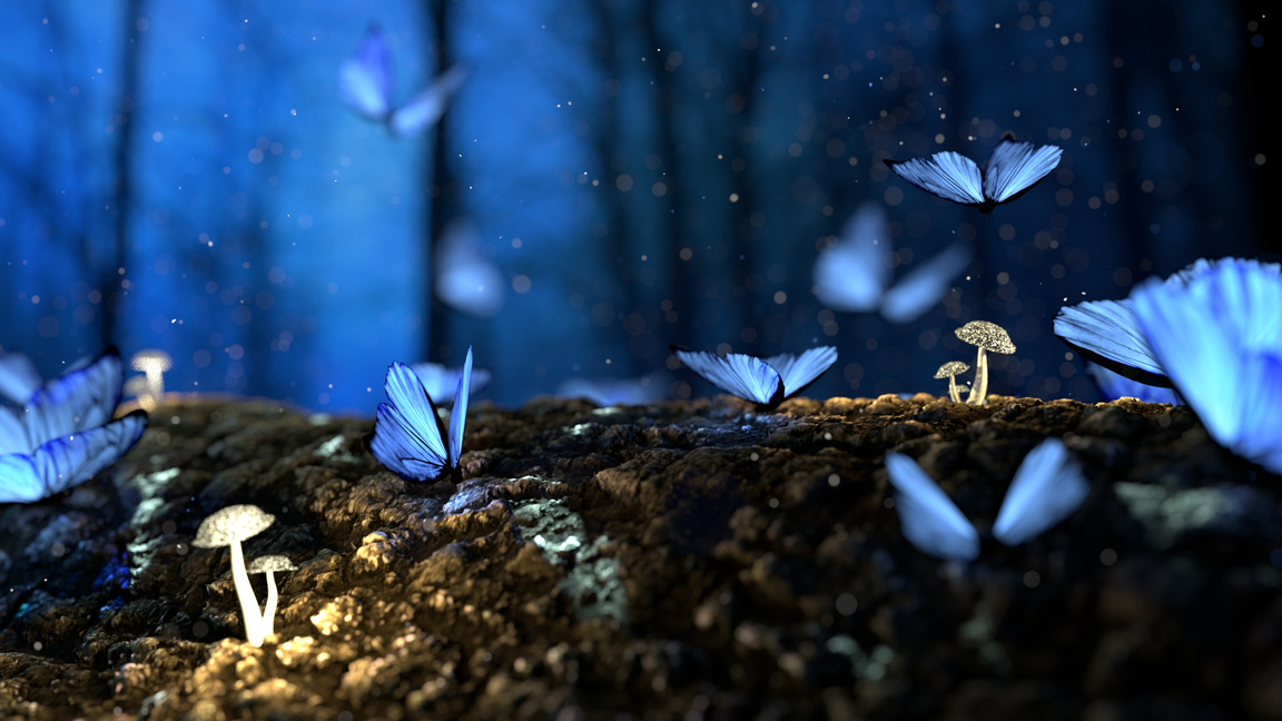 Shining Blue Butterflies in the Forest at Night